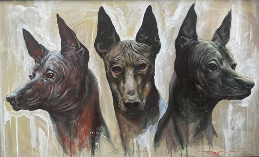 Trio de Xolos